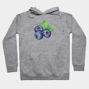 Blueberry Hoodie